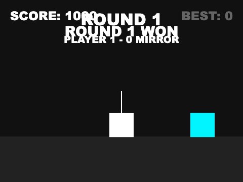Mirror Match